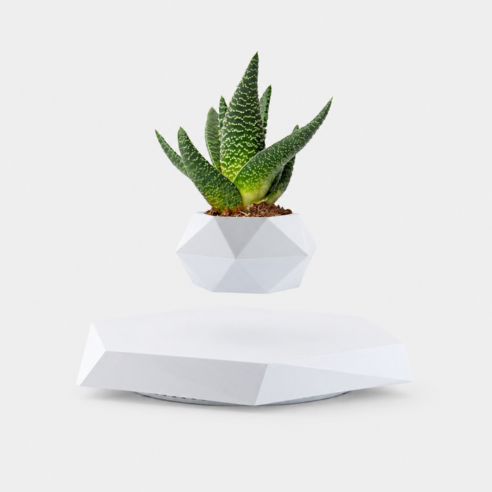 Floating White Levitation Planter | Magnetic Anti-Gravity Flower Pot with 360° Rotating Display