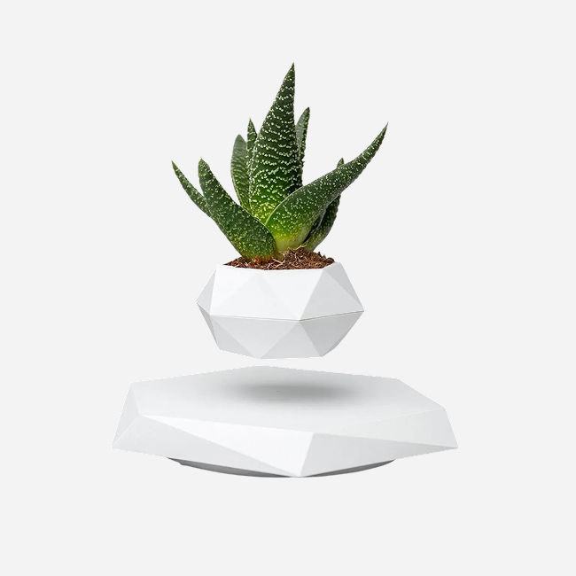 Magnetic Levitating Flower Pot - White