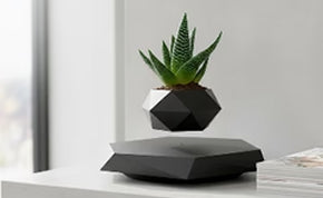 Gadgets & Gifts