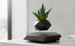Gadgets & Gifts