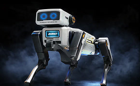 Robotic Toys & Pets