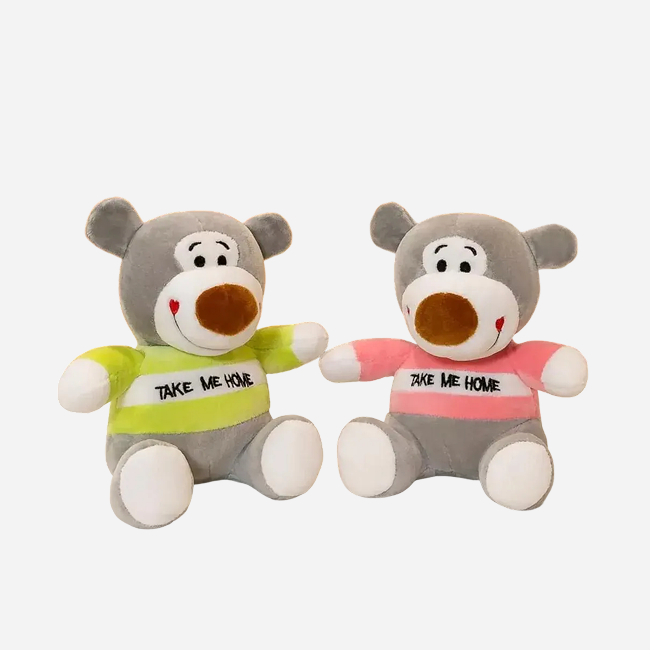 Take Me Home Teddy Bear Plush Soft Toy 25 CM | Cute Cuddly Stuffed Bear for Kids & Gifting