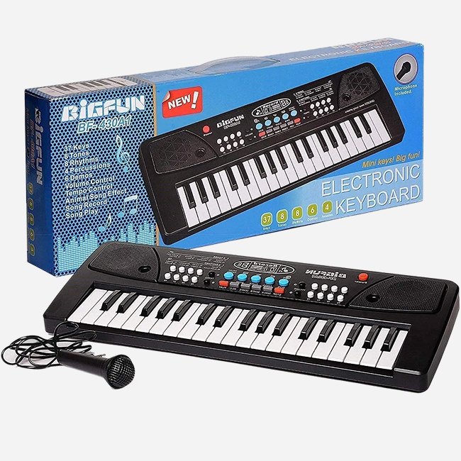 Electronic Keyboard Piano