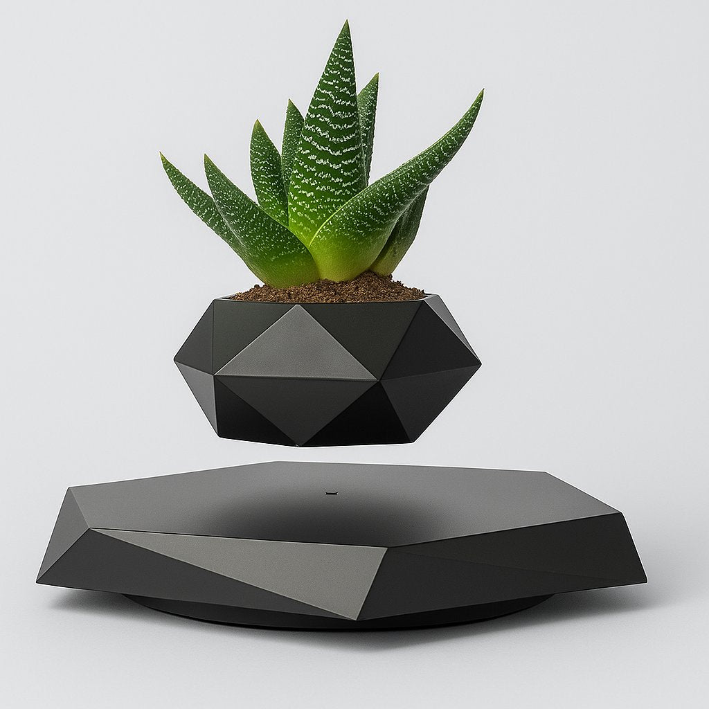 Magnetic Levitating Flower Pot - Black