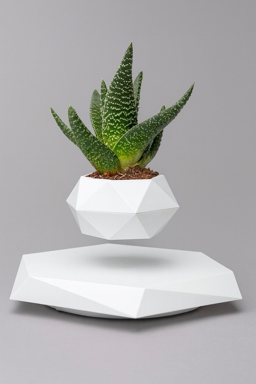 Magnetic Levitating Flower Pot - White