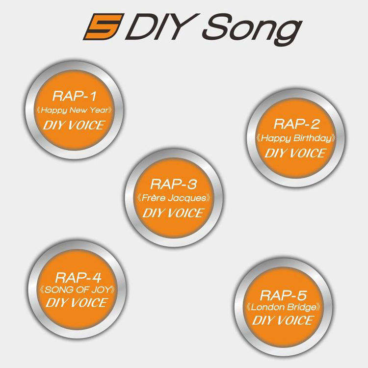 12 Different Magic Sound Super Smart Voice Changer Mic