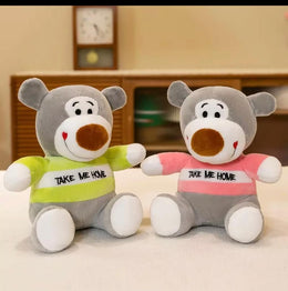 Take me Home Teddy 25 CM