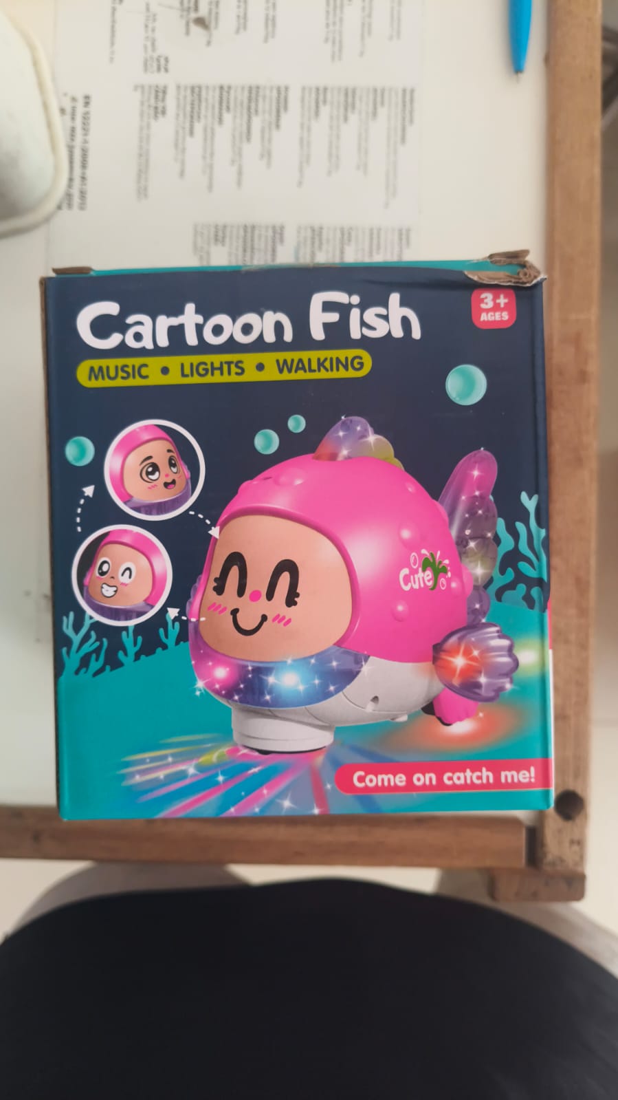 ZR221 - Carton Fish