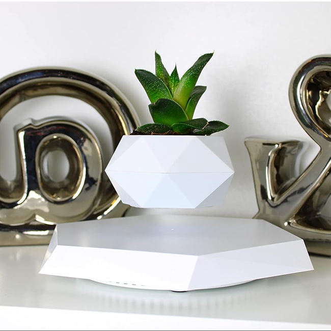 Magnetic Levitating Flower Pot - White