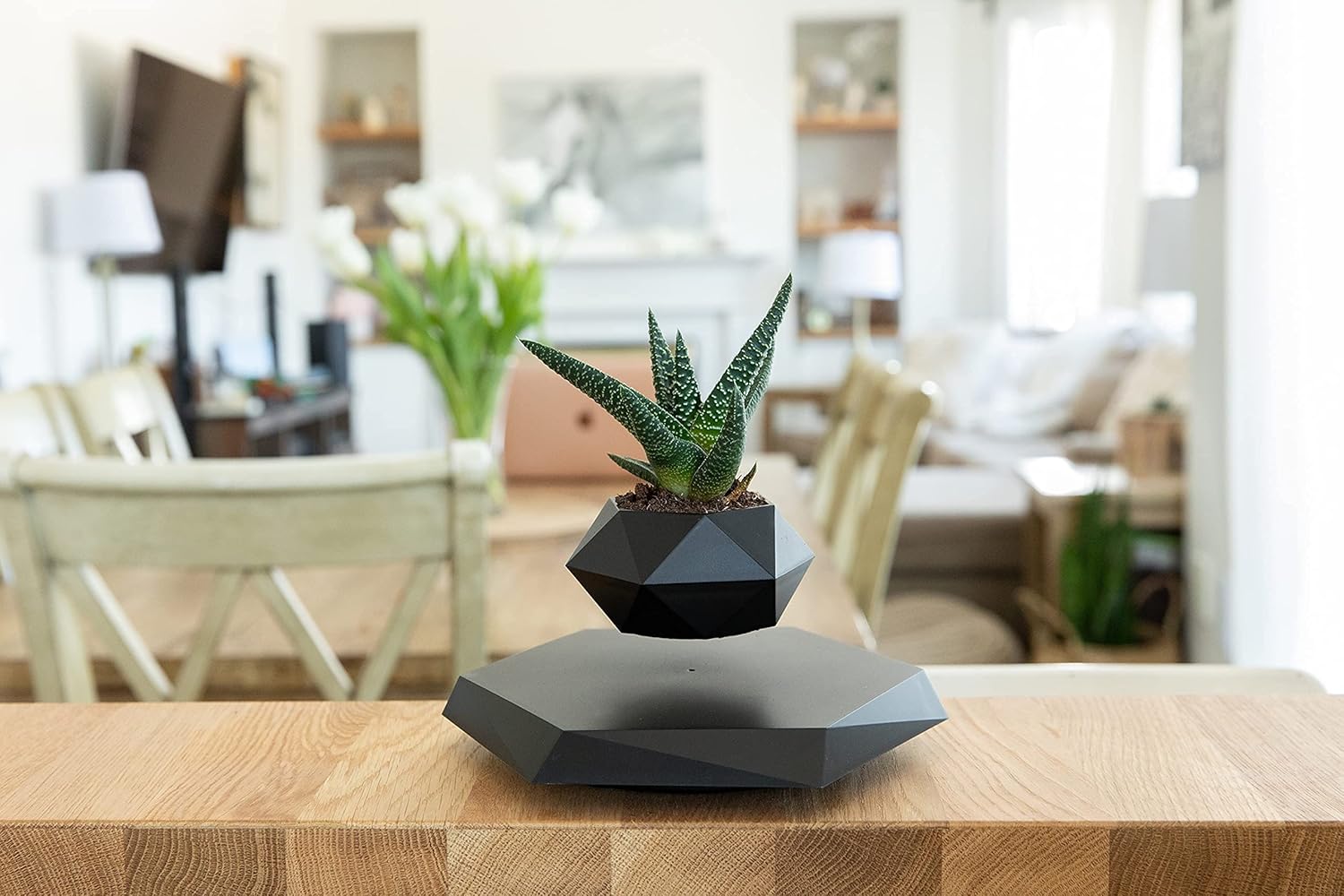 Floating Gravity-Defying Magnetic Levitating Flower Pot | Futuristic Rotating Floating Pot for Desk & Home Décor- Black