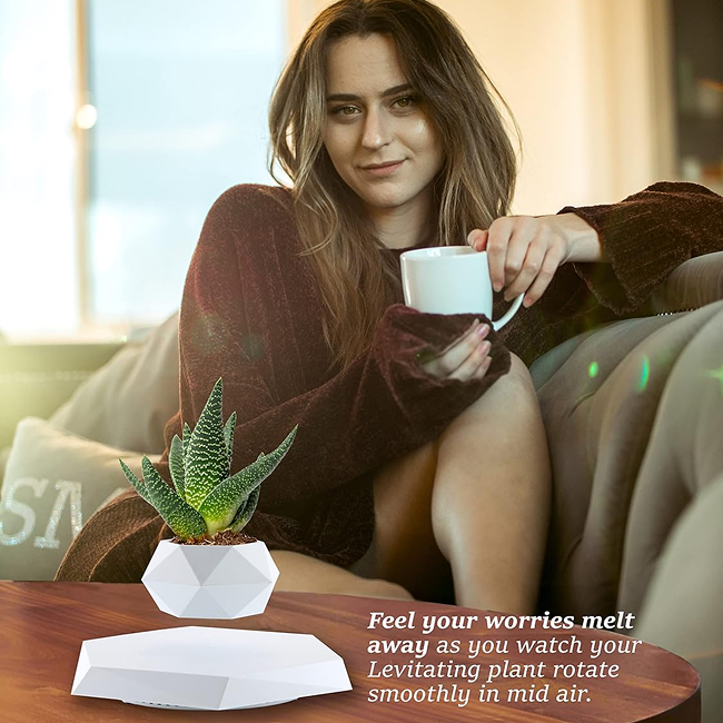 Magnetic Levitating Flower Pot - White