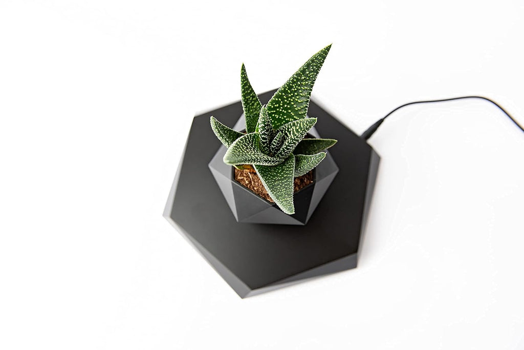 Floating Gravity-Defying Magnetic Levitating Flower Pot | Futuristic Rotating Floating Pot for Desk & Home Décor- Black