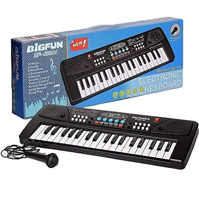 Electronic Keyboard Piano