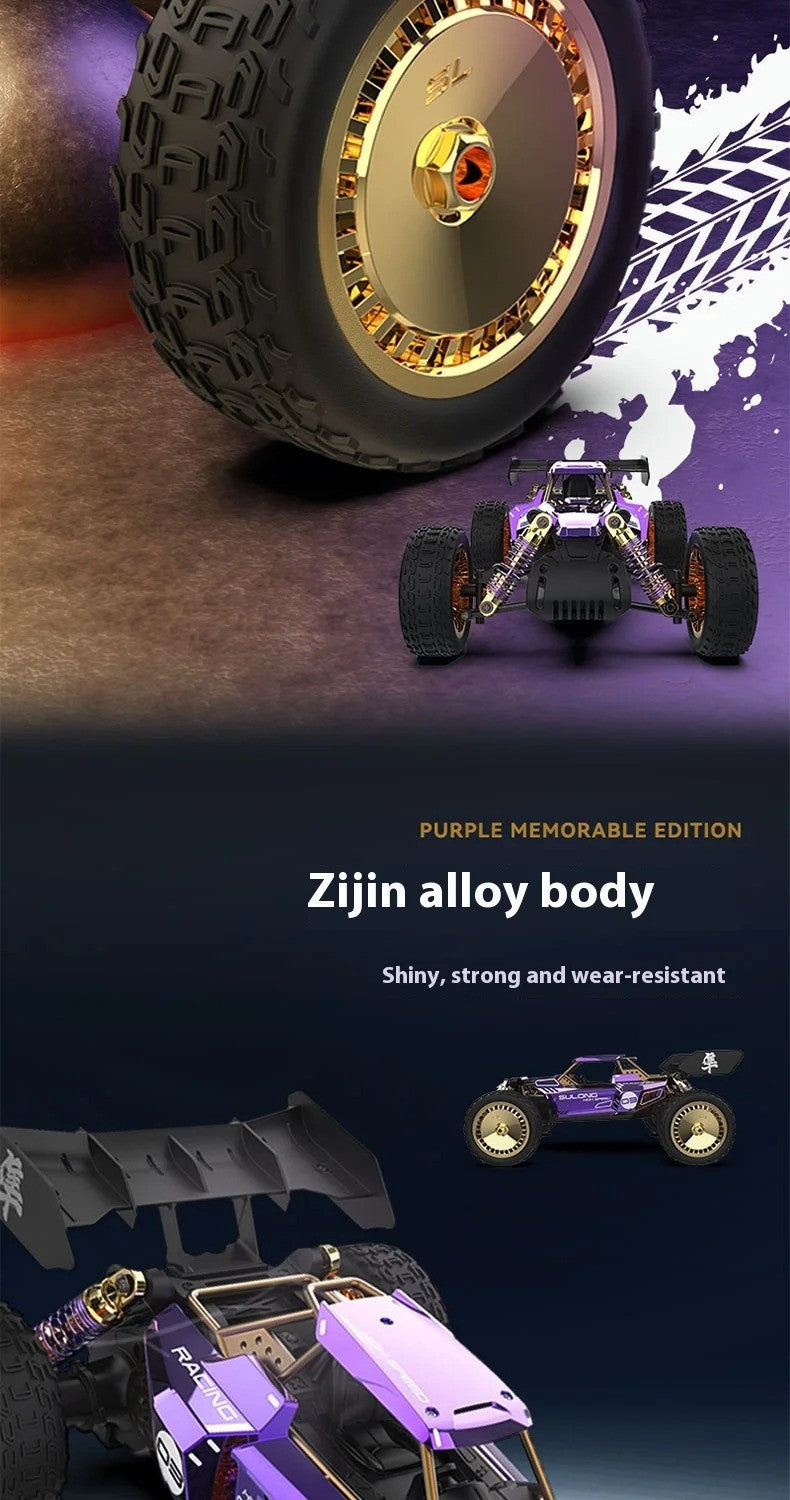 SULONG SL-6034 - 1:14 Scale Die-Cast Alloy RC Off-Road Buggy – 2.4GHz High-Speed Remote Control Car with Metal Body, Independent Suspension & Racing Design (Purple) description image 4