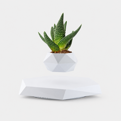 Floating White Levitation Planter | Magnetic Anti-Gravity Flower Pot with 360° Rotating Display
