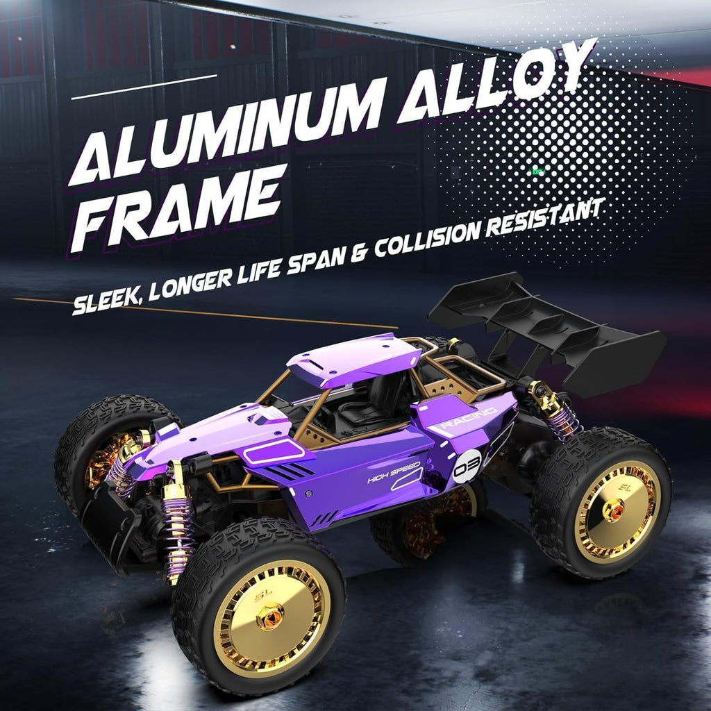 SULONG SL-6034 - 1:14 Scale Die-Cast Alloy RC Off-Road Buggy – 2.4GHz High-Speed Remote Control Car with Metal Body, Independent Suspension & Racing Design (Purple)