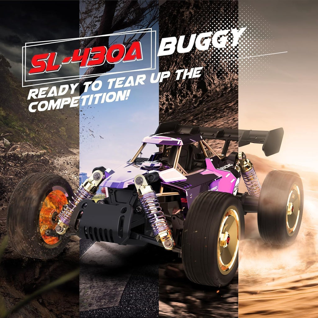 SULONG SL-6034 - 1:14 Scale Die-Cast Alloy RC Off-Road Buggy – 2.4GHz High-Speed Remote Control Car with Metal Body, Independent Suspension & Racing Design (Purple)