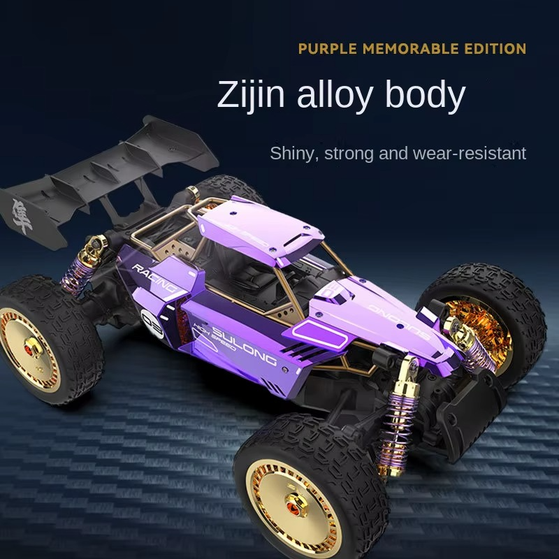 SULONG SL-6034 - 1:14 Scale Die-Cast Alloy RC Off-Road Buggy – 2.4GHz High-Speed Remote Control Car with Metal Body, Independent Suspension & Racing Design (Purple)