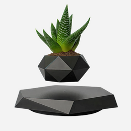 Magnetic Levitating Flower Pot - Black