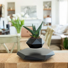 Magnetic Levitating Flower Pot - Black secondary