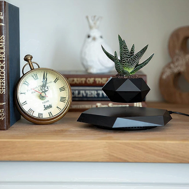 Magnetic Levitating Flower Pot - Black