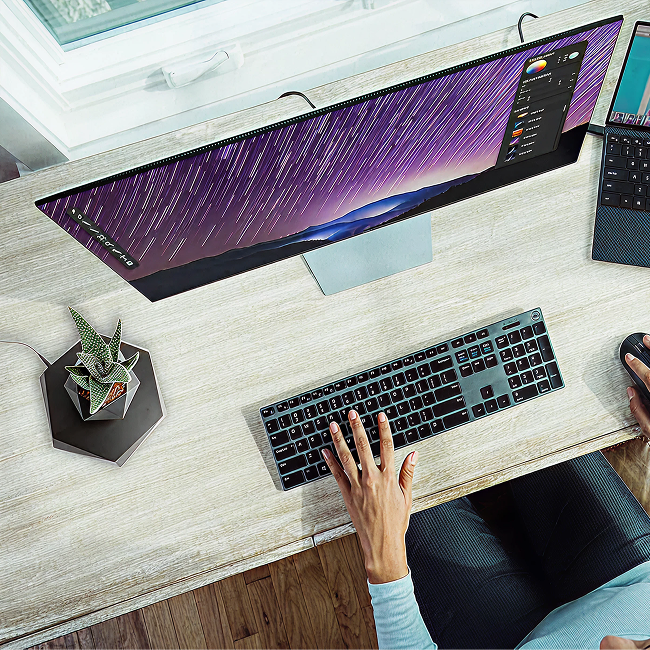 Magnetic Levitating Flower Pot - Black