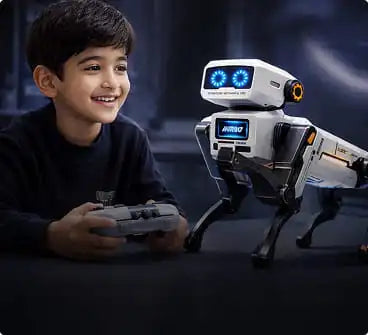 Robotic Toys